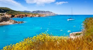 Ibiza Yacht and Flowers