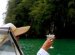 Exclusive boat Charters