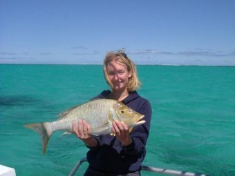 Sara Ventiera was marketed quickly aboard ship, but tired of the seagoing world’s class system.
